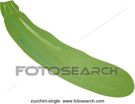 Clip Art - Zucchini Single. Fotosearch