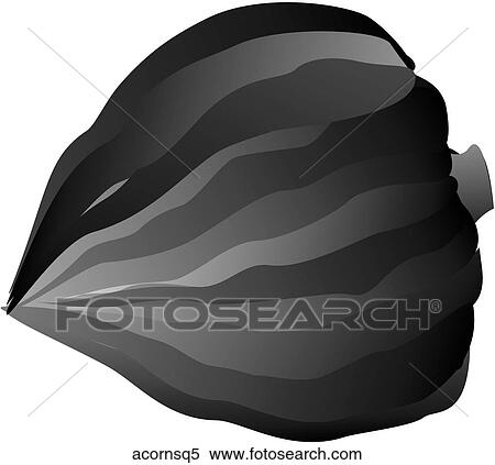 Acorn Squash-One B&W View Large Illustration Stock Illustration - Acorn Squash-One B&W. Fotosearch