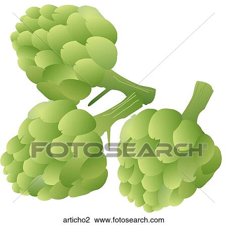 Artichokes View Large Illustration Drawing - Artichokes. Fotosearch