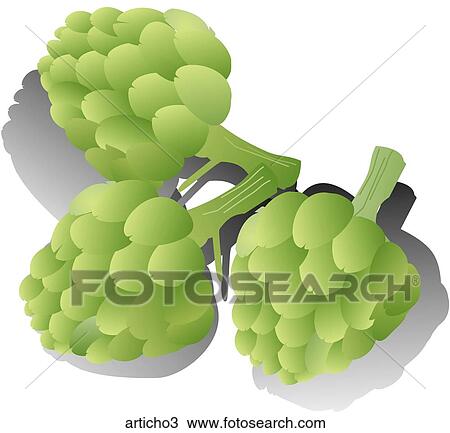 Artichokes-Shadows View Large Illustration Drawing - Artichokes-Shadows. Fotosearch