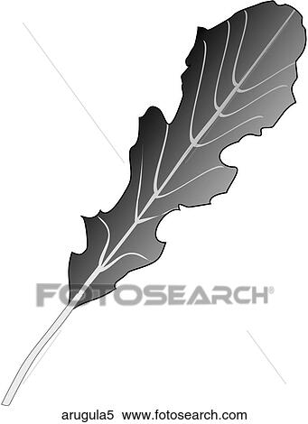 Arugula-One B&W View Large Illustration Stock Illustration - Arugula-One B&W. Fotosearch