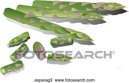 Drawing - Asparagus-Shadows. Fotosearch