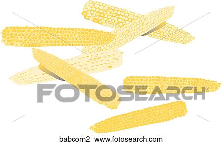 Baby Corn View Large Illustration Drawing - Baby Corn. Fotosearch