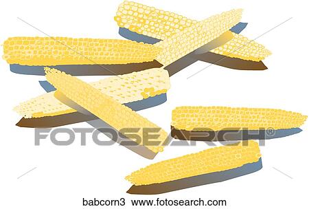 Drawing - Baby Corn-Shadows. Fotosearch