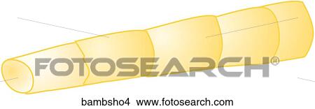 Stock Illustration - Bamboo Shoots-One. Fotosearch