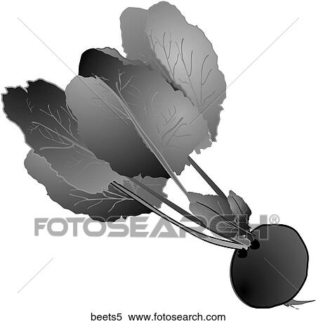 Beets-One B&W View Large Illustration Stock Illustration - Beets-One B&W. Fotosearch