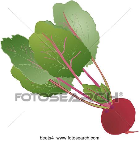 Stock Illustration - Beets-One. Fotosearch