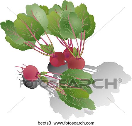 Drawing - Beets-Shadows. Fotosearch