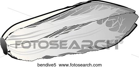 Stock Illustration - Belgian Endive-One B&W. Fotosearch