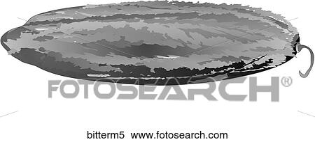 Stock Illustration - Bitter Melon-One B&W. Fotosearch