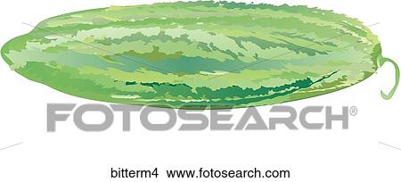 Bitter Melon-One View Large Illustration Stock Illustration - Bitter Melon-One. Fotosearch