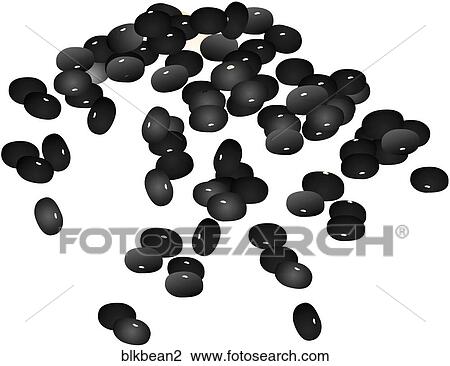 Drawing - Black Beans. Fotosearch