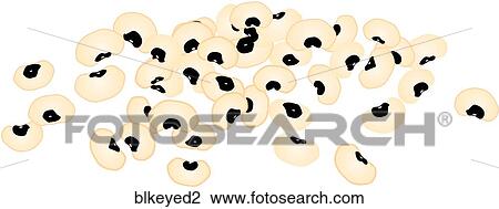 Drawing - Black-Eyed Peas. Fotosearch