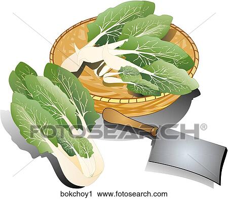 Bok Choy-Composition View Large Illustration Clip Art - Bok Choy-Composition. Fotosearch