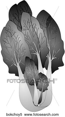 Stock Illustration - Bok Choy-One B&W. Fotosearch