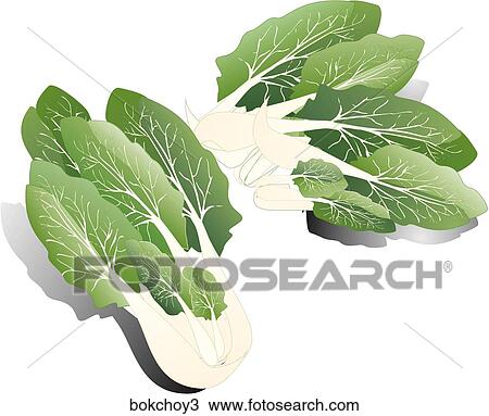 Bok Choy-Shadows View Large Illustration Drawing - Bok Choy-Shadows. Fotosearch
