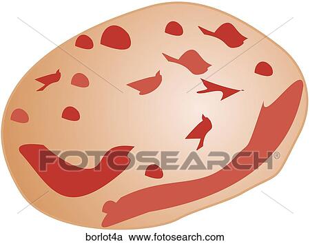 Borlotti Beans-One View Large Illustration Clipart - Borlotti Beans-One. Fotosearch