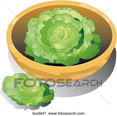 Clip Art - Boston Lettuce-Composition. Fotosearch