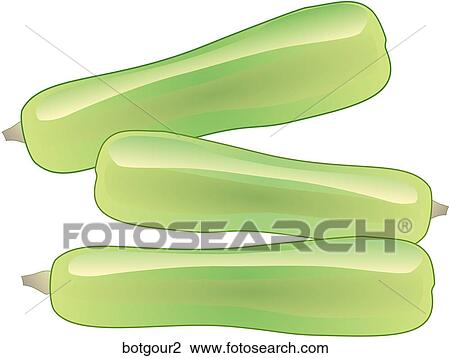 Bottle Gourd View Large Illustration Drawing - Bottle Gourd. Fotosearch