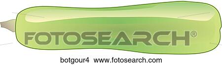 Bottle Gourd-One View Large Illustration Stock Illustration - Bottle Gourd-One. Fotosearch