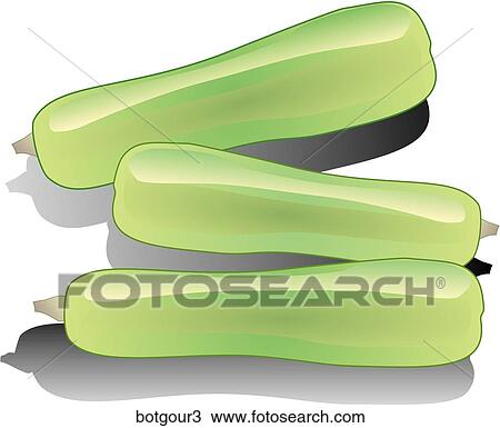 Drawing - Bottle Gourd-Shadows. Fotosearch