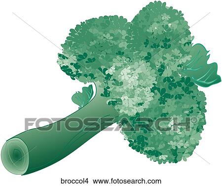Stock Illustration - Broccoli-One. Fotosearch