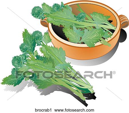 Clip Art - Broccoli Rabe-Composition. Fotosearch