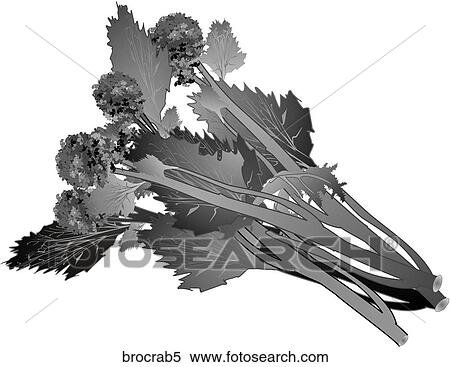 Stock Illustration - Broccoli Rabe-One B&W. Fotosearch
