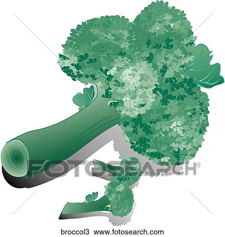 Drawing - Broccoli-Shadows. Fotosearch