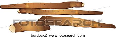 Drawing - Burdock. Fotosearch