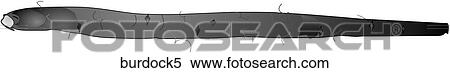 Stock Illustration - Burdock-One B&W. Fotosearch