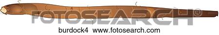 Stock Illustration - Burdock-One. Fotosearch