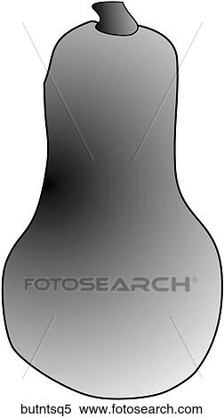 Butternut Squash-One B&W View Large Illustration Stock Illustration - Butternut Squash-One B&W. Fotosearch