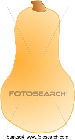 Stock Illustration - Butternut Squash-One. Fotosearch