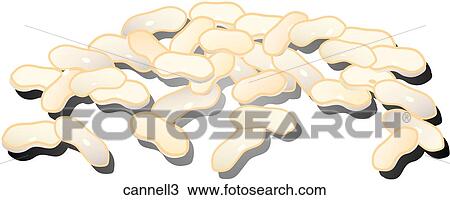 Drawing - Cannellini Beans-Shadows. Fotosearch