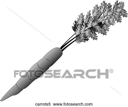 Stock Illustration - Carrots-One B&W. Fotosearch