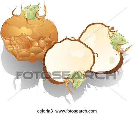 Celeriac-Shadows View Large Illustration Drawing - Celeriac-Shadows. Fotosearch