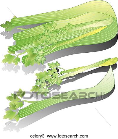 Drawing - Celery-Shadows. Fotosearch