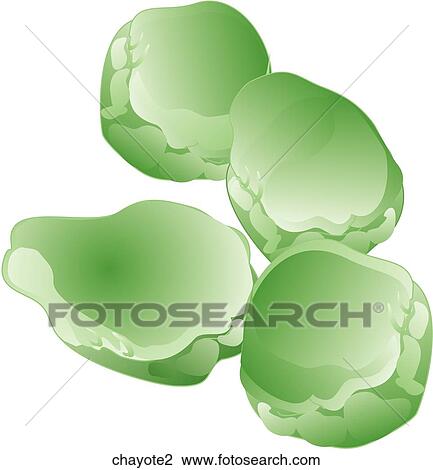 Chayote Squash View Large Illustration Drawing - Chayote Squash. Fotosearch