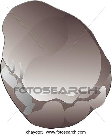 Chayote Squash-One B&W View Large Illustration Stock Illustration - Chayote Squash-One B&W. Fotosearch