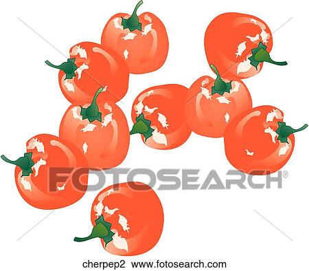 Drawing - Cherry Peppers. Fotosearch