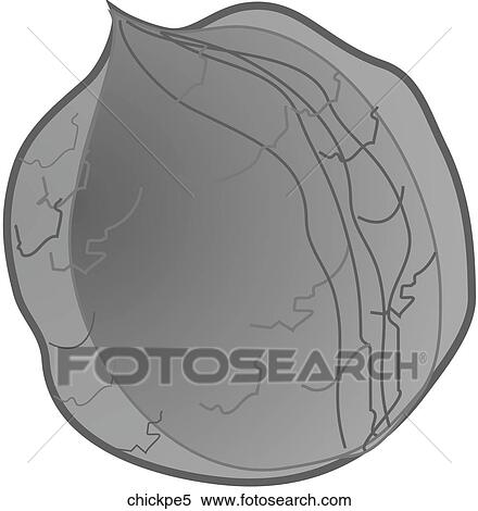 Stock Illustration - Chick Peas-One B&W. Fotosearch