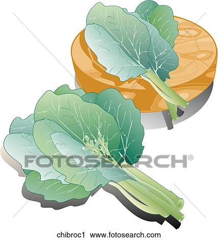 Clip Art - Chinese Broccoli-Composition. Fotosearch