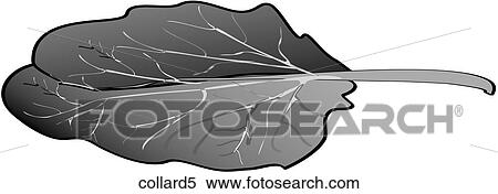 Collards-One B&W View Large Illustration Stock Illustration - Collards-One B&W. Fotosearch