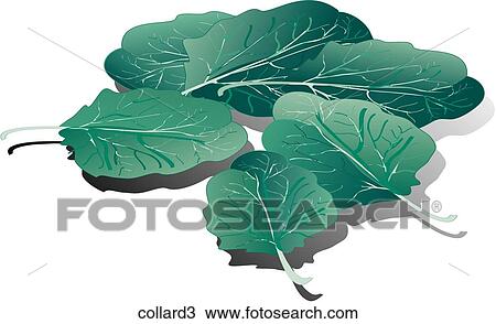 Drawing - Collards-Shadows. Fotosearch