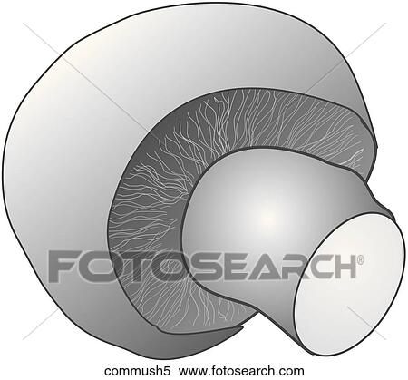 Stock Illustration - Commercial Mushrooms-One B&W. Fotosearch
