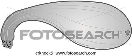 Crookneck Squash-One B&W View Large Illustration Stock Illustration - Crookneck Squash-One B&W. Fotosearch