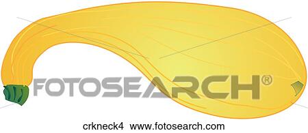 Crookneck Squash-One View Large Illustration Stock Illustration - Crookneck Squash-One. Fotosearch