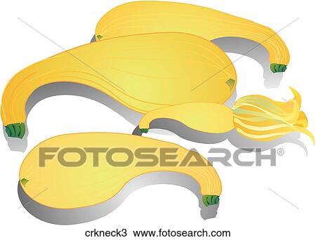 Drawing - Crookneck Squash-Shadows. Fotosearch