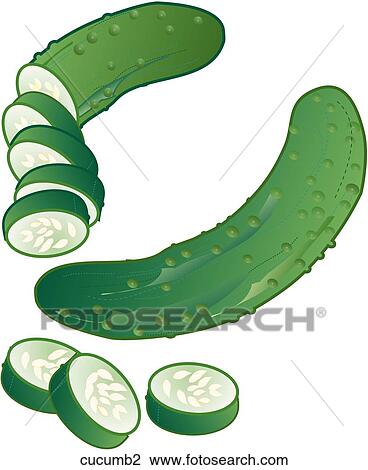 Cucumbers View Large Illustration Drawing - Cucumbers. Fotosearch